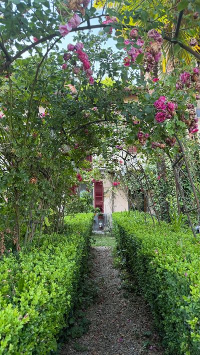 giardino